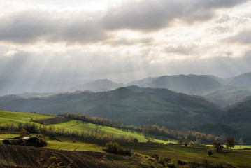 Naklejka premium colli pavesi