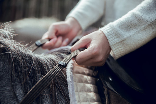 Close up of woman on horse holding reins