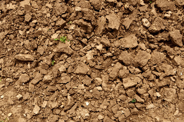 Dry brown soil with rough clumps and earthy texture. Natural dirt background ideal for agriculture, gardening, construction, or environmental design use.