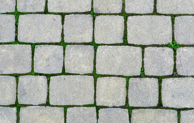 Stone pavement with green grass