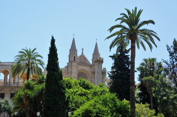 mallorca,palma,