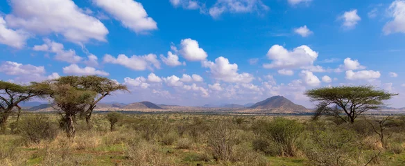 Fototapeten Naturwunder Massai Mara, Kenia © familie-eisenlohr.de