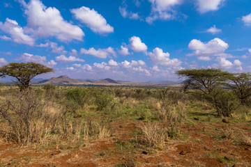 Kenia Rundreise: Landschaft Massai Mara