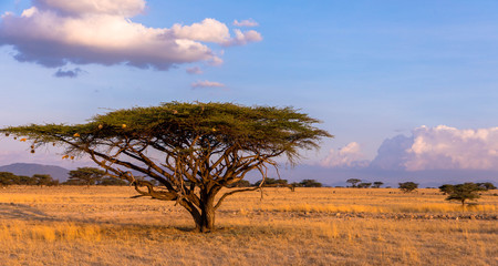 Eine der schönsten Landschaften in Afrika, Massai Mara, Kenia