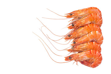 Red cooked prawn or shrimp prawns aligned right side isolated on white background. Top view