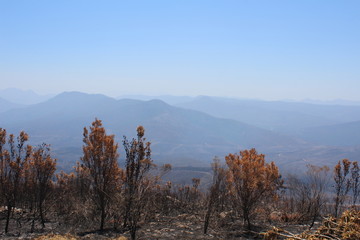 Spitskop, Knysna, Südafrika, Afrika, Berg, Aussicht, verbrannter Berg