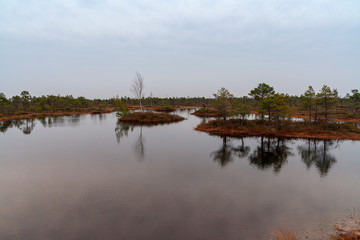 natural body of water. pond with reflections