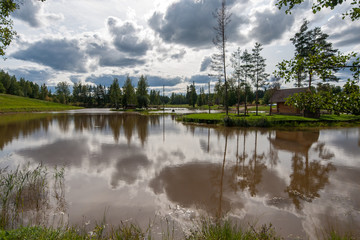 Obraz premium natural body of water. pond with reflections