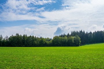 Fototapeta na wymiar Germany, Green german paradise in black forest nature countryside