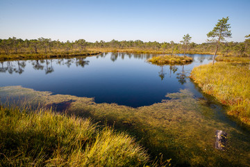 natural body of water. pond with reflections