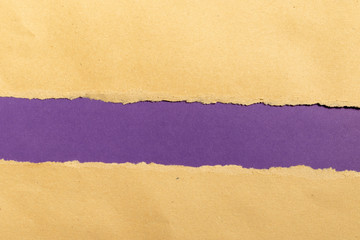 torn paper on purple background