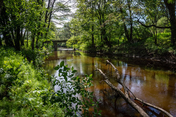 Fototapeta premium natural body of water. pond with reflections