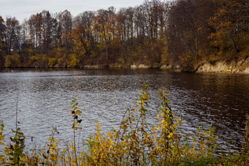 natural body of water. pond with reflections