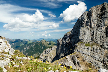 Bergwelt im Frühling