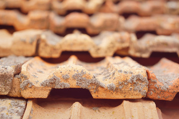 Closeup of shingles covered with moss