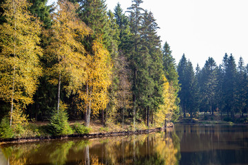 a little lake in a forest in autumn