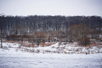 Winter landscape with clearing in the woods