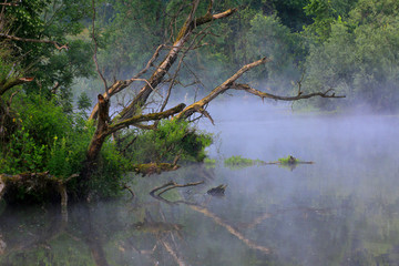 Flußlandschaft mit Nebel, Bayern, Deutschland