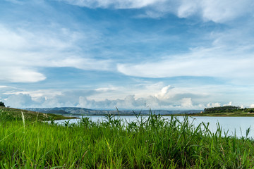 Fototapeta na wymiar High green grass with lake and a cloudy blue sky