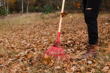 A man gardener rakes autumn leaves in the garden. Rake close up. Autumn work in the garden. Concept autumn, yellow leaves, autumn mood. Copy space.