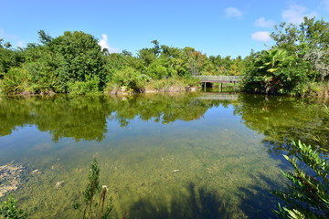 Fototapeta na wymiar A pond at the Florida Keys in Florida.