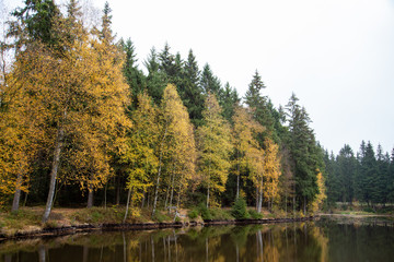 Fototapeta na wymiar a lake in a forest in autumn