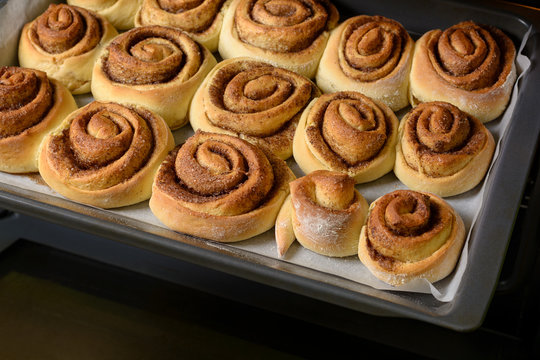 Buns on baking pan