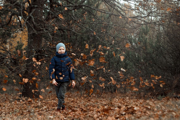 A pile of autumn, yellow foliage, a child, a boy playing with foliage in a park, throws up leaves. Concept autumn, yellow leaves, autumn mood. Copy space.