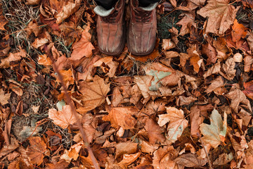 Creative Background, Shoes, orange shoes on a background of yellow leaves. Concept of autumn, cold, yellow leaves, autumn mood. Copy space.