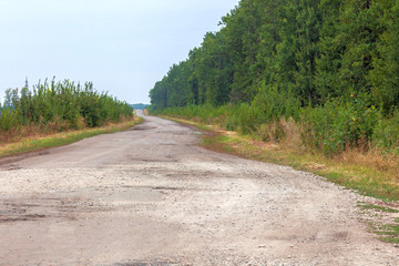 An old, rural abandoned asphalt road and green trees twist into the distance to the horizon.