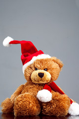 Teddy bear in santa hat