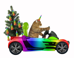 The cat unicorn carries a Christmas tree in the rainbow car. White background.