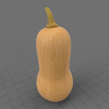 Butternut squash