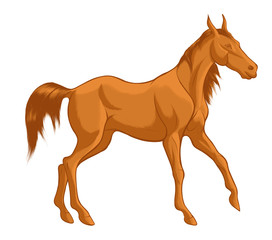 Quick sketch of red horse with brown mane, walking free. Vector clip art and design element for equestrian farms. Emblem of an agricultural animal.