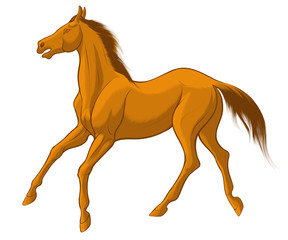 Fototapeta na wymiar Quick sketch of red horse with brown mane, galloping free. Vector clip art and design element for equestrian farms. Emblem of an agricultural animal.