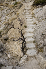 Coastal cliffs of the Black Sea