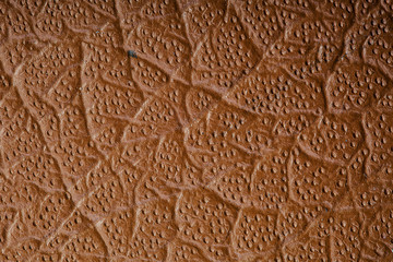 Beige leather texture for the whole frame