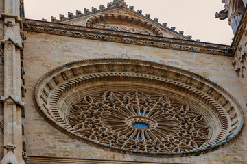 Palma 7