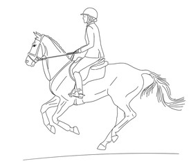 Equestrian sport. A rider cantering on a horse. Black and white outline.