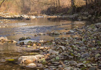 river in autumn