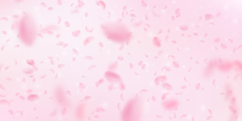 Sakura petals falling down. Romantic pink flowers 