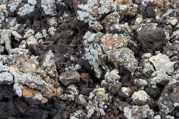 Lava stones with lichen in Timanfaya National Park. Lanzarote, Canary Islands