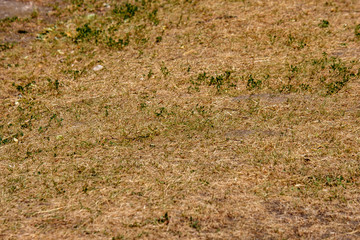 abstract texture sand pattern