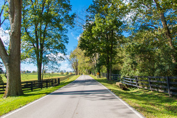Country road along forse farms.
