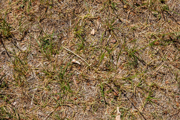 abstract texture sand pattern