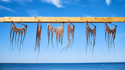 Traditional octopus drying in Spain Denia. Octopus on the background of a blue sky © bodiaphoto