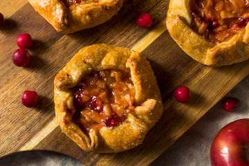 Sweet Homemade Apple Cranberry Tart