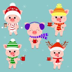 A set of five-pigs in different hats and a scarf with cups of different hot drinks. Happy New Year and Merry Christmas. The symbol of the Chinese New Year. Vector