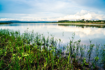 lawn on river bank during sunset