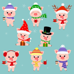 A set of eight pigs in different hats and a scarf. Hold a cup of various hot drinks and a gift. Happy New Year and Merry Christmas. The symbol of the Chinese New Year. Vector